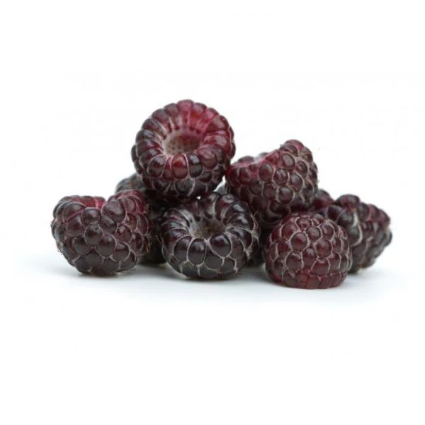 framboise jewel